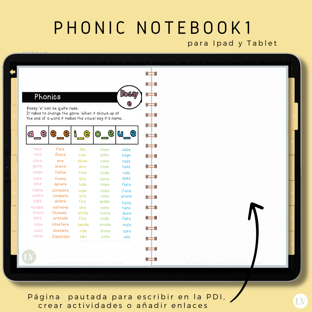 Phonic Notebooks